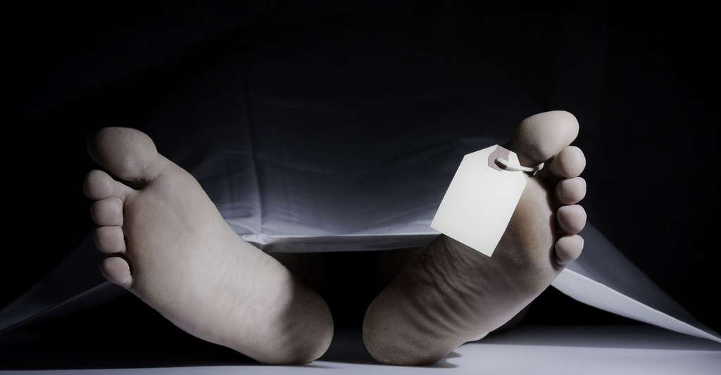 Miliana: Découverte d&rsquo;un cadavre au pied d&rsquo;un figuier