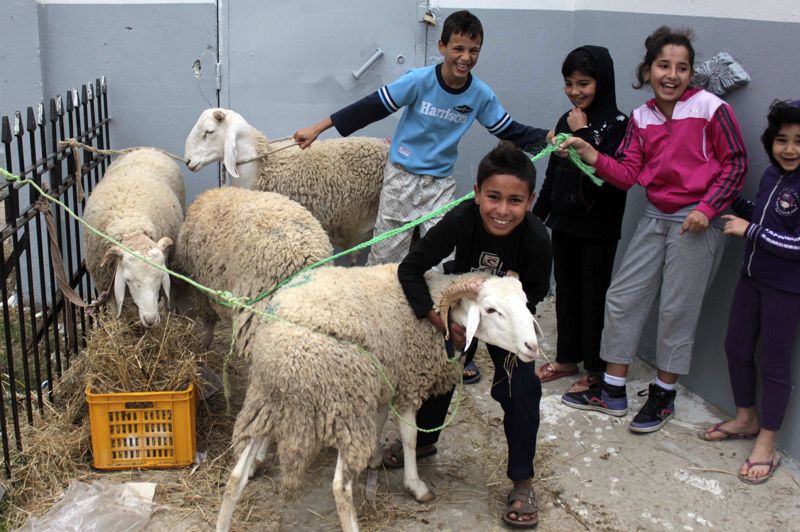 Aïd el Kebir : un moment de joie, de piété et de civisme