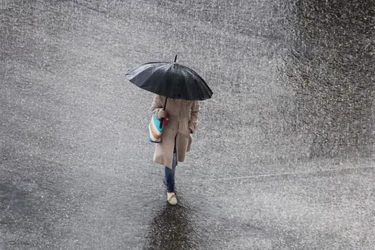 Pluies orageuses attendues sur les wilayas côtières