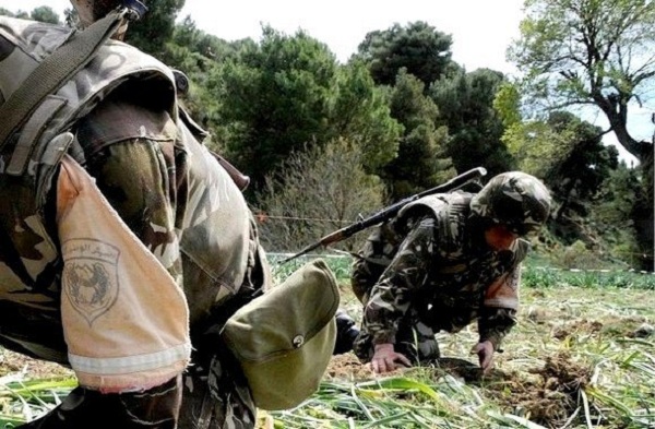 Large solidarité avec les forces de sécurité