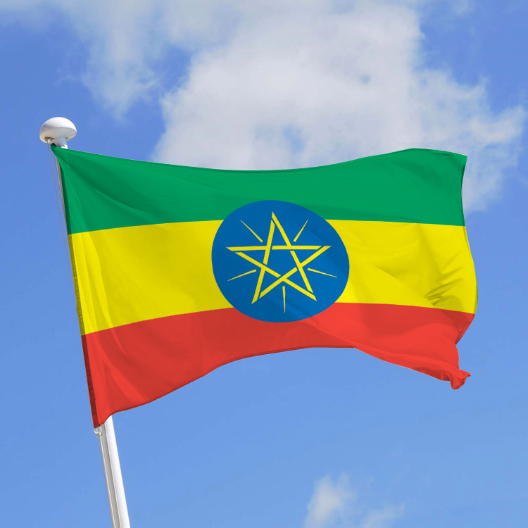 Éthiopie: Le Premier ministre promet des élections «libres et justes» en 2020