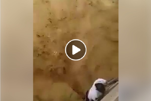 Vidéo : sauvetage d’un enfant à Biskra