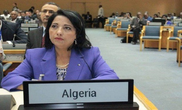 CMAE: Zerouati examine avec ses homologues africains les défis de l&rsquo;environnement dans le continent