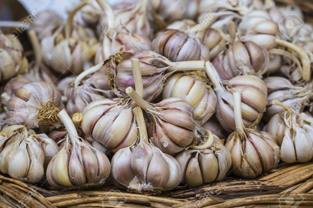 Agriculture: Des actions d’intervention pour la régulation du marché de l’ail