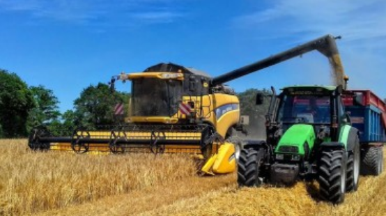 Campagne céréalière : près de 2 millions de quintaux engrangés