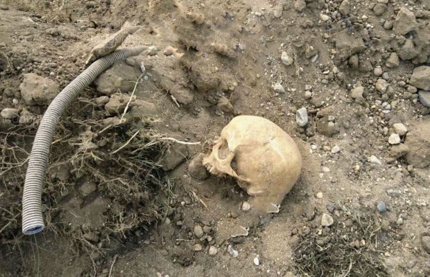 Sidi-Bel-Abbès: Un crâne déterré lors des dernières précipitations