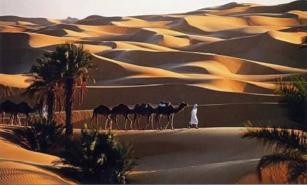 Ouargla: plusieurs opérations pour renforcer les capacités d’accueil touristiques