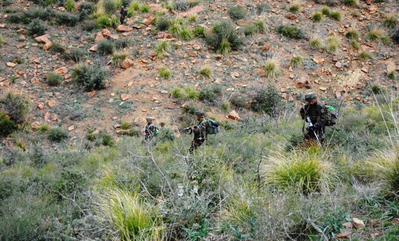 Quatre casemates pour terroristes détruites à Tipaza, Chlef et Tizi Ouzou (MDN)