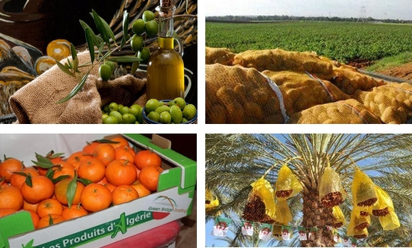 Salon national de l&rsquo;agriculture et de l&rsquo;innovation de Tizi-Ouzou : plus de 180 exposants attendus lundi