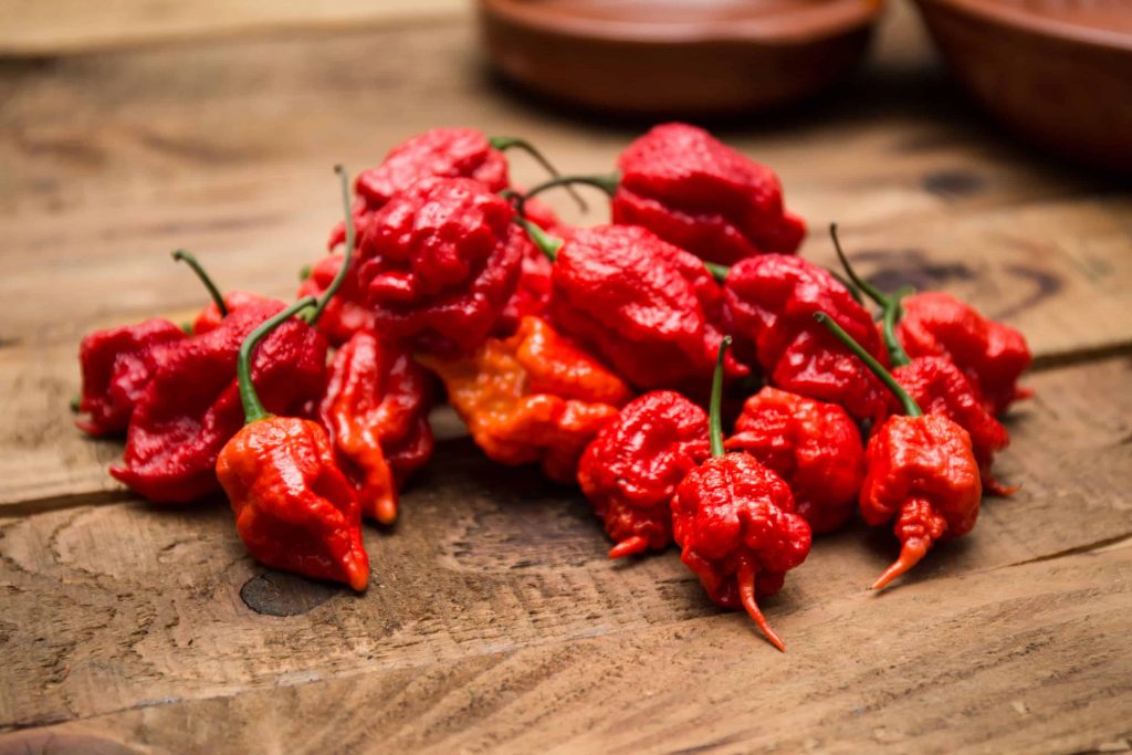 Lu pour vous: Il mange des piments beaucoup trop forts et finit à l’hôpital !