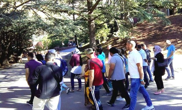 Bouira: le réseau « Algerian Eco » sensibilise à Tikjda sur les dangers des changements climatiques