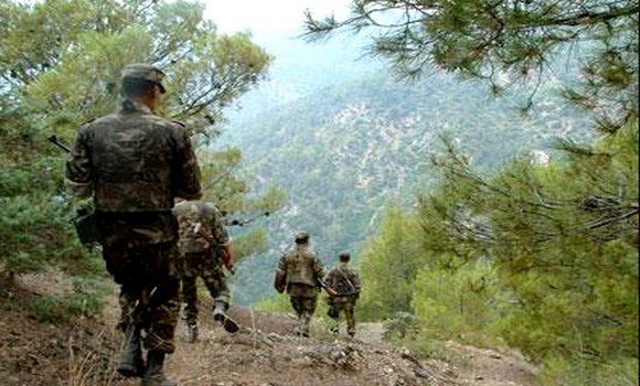 Un élément de soutien aux groupes terroristes arrêté à Tizi Ouzou (MDN)