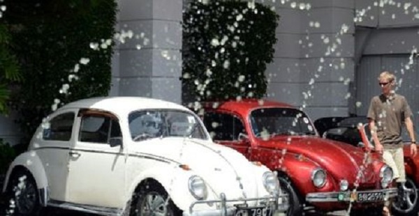 Volkswagen Group : Fin de vie officialisée pour le Beetle