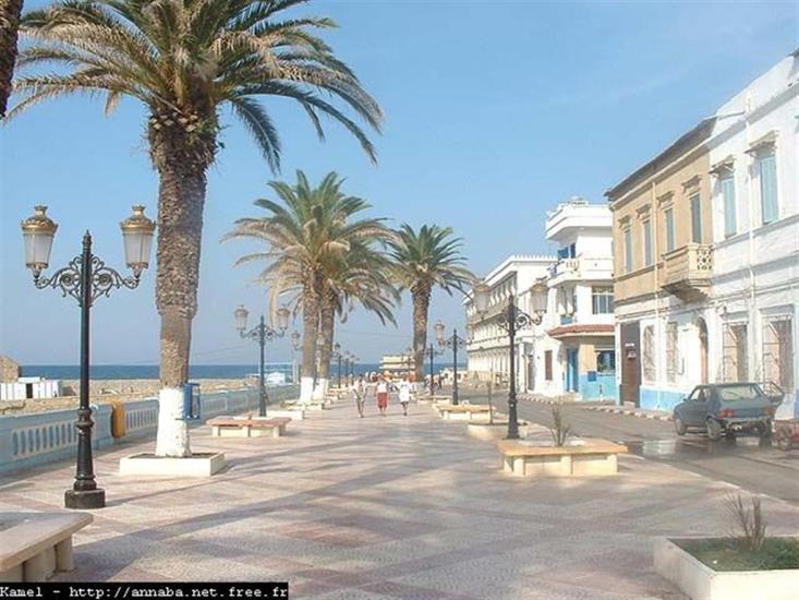 El Kala: La plaie béante sur la ville