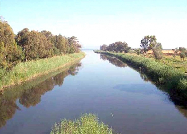 Tipasa L’oued Mazafran, un puissant foyer de risques des MTH