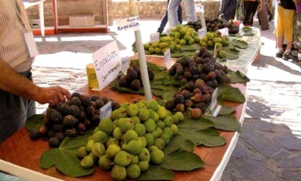 150 exposants à la 16e édition de la fête de la figue de Beni-Maouche