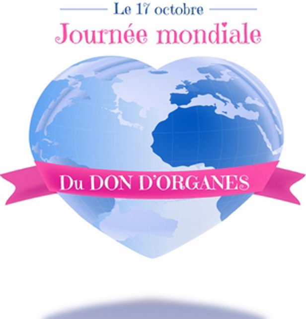 17 octobre : Journée mondiale du don d’organes et de la greffe