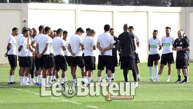 Belmadi programme une série d’entretiens individuels avec ses joueurs