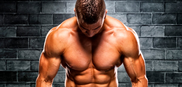 Vrai ou faux: Les muscles consomment beaucoup de calories