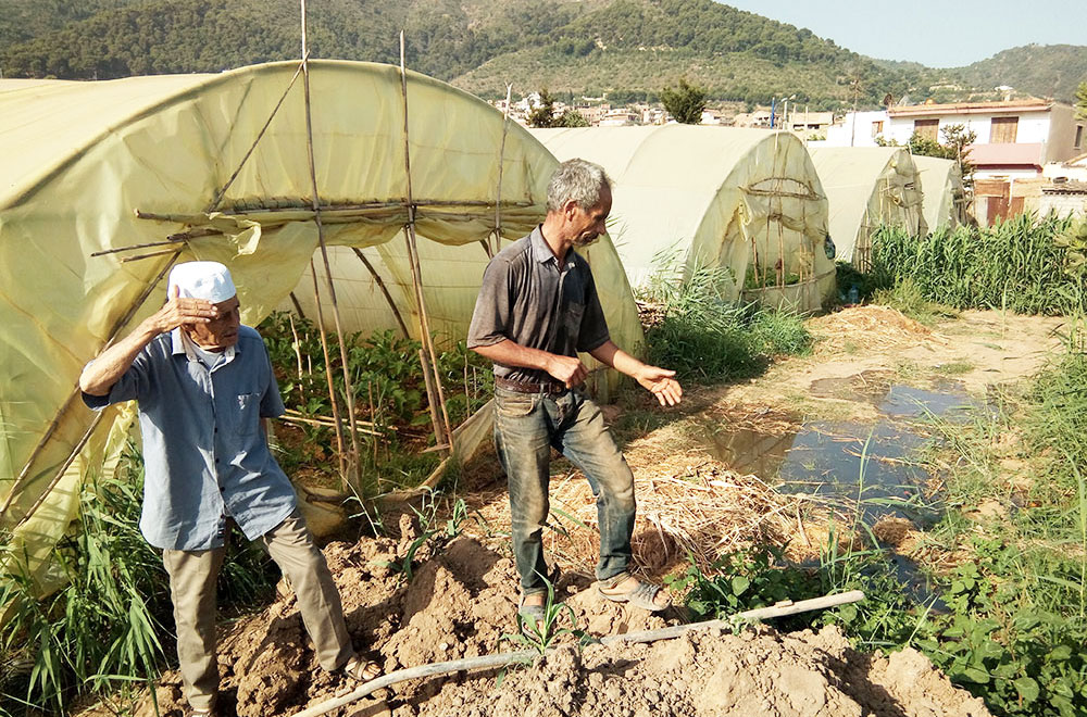 Mostaganem: Des arbres fruitiers irrigués par des eaux usées
