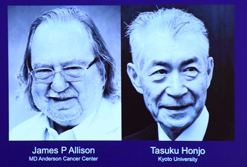 Le prix Nobel de médecine attribué à un duo nippo-américain pour ses recherches sur le cancer