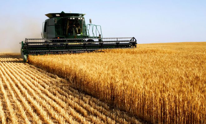 Le Think Tank français Agridées alerte sur la montée de la production russe: Mutation profonde sur l’échiquier céréalier mondial