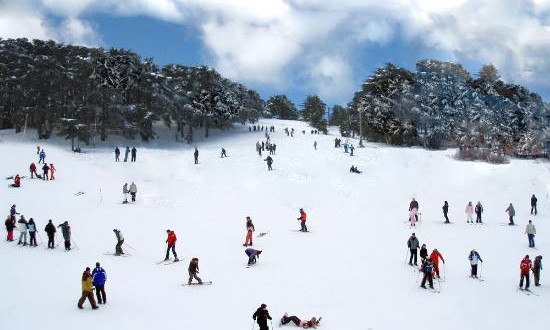 Saison hivernale : Chréa se prépare à accueillir ses visiteurs