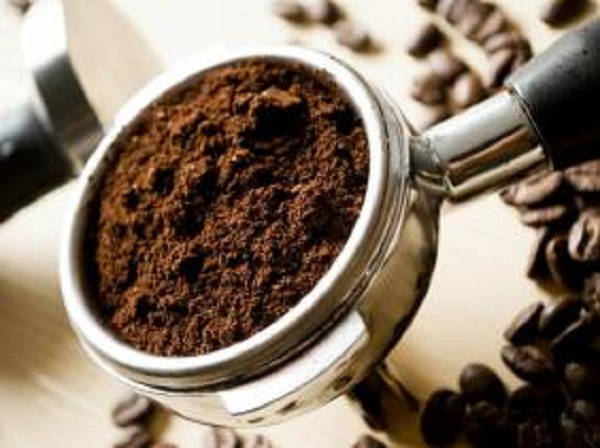 Compostage : Fabriquer des engrais à base de déchets organiques