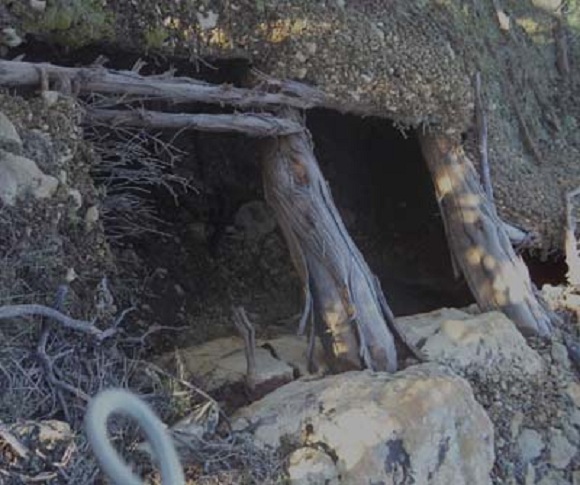 Trois abris pour terroristes contenant des denrées alimentaires détruits à Batna