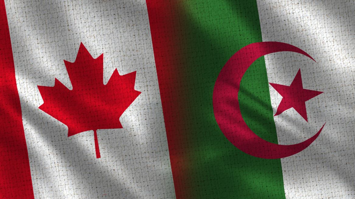 Éducation en ligne : L’Algérie appelée à s’imprégner de l’expérience canadienne