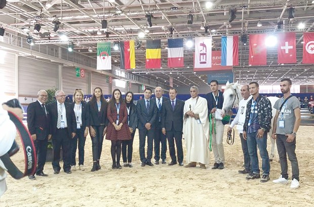 Championnat international du cheval barbe : L’Algérie à la première place