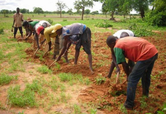 Le phénomène de migration risque de priver l’Afrique de la main d’oeuvre agricole jeune