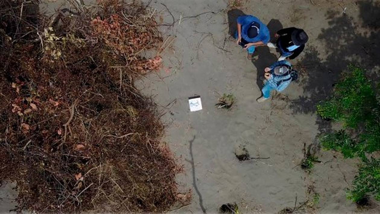 Mexique: au moins 19 corps découverts dans une fosse commune