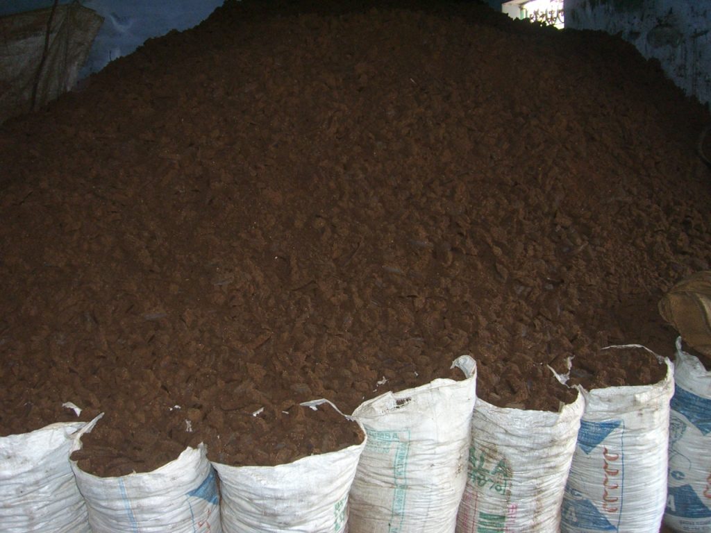 La consommation d’engrais en Afrique pourrait atteindre 13,6 millions de tonnes d’ici 2030