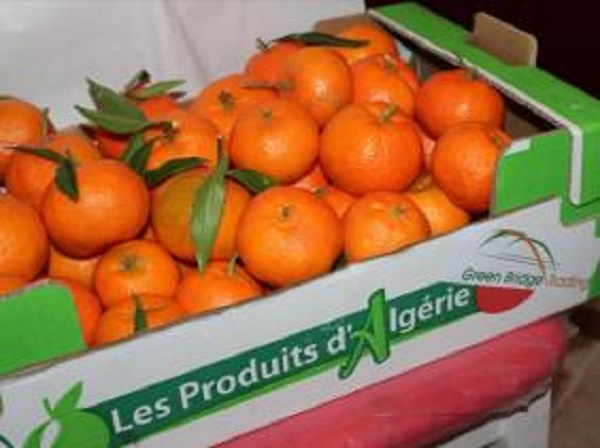 Année record pour les exportations hors hydrocarbures