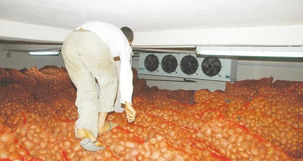 Stockage de produits agricoles : Vers la réception du premier complexe de froid à Tissemsilt