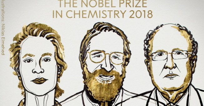 Le Nobel de chimie à deux Américains et un Britannique pour leurs recherches sur les protéines