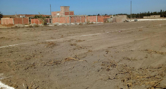 Mostaganem : Détournement de 25 hectares à Hassi Mamèche