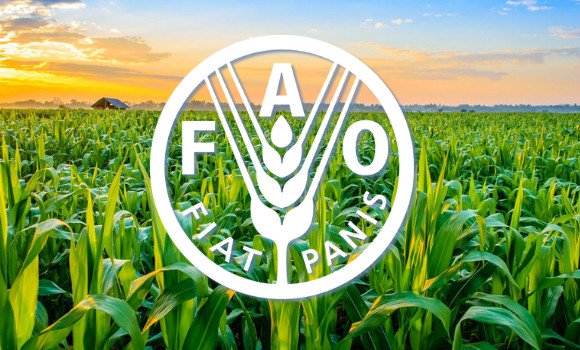 FAO: L&rsquo;utilisation croissante des antimicrobiens dans l&rsquo;agriculture entraîne une résistance aux traitements