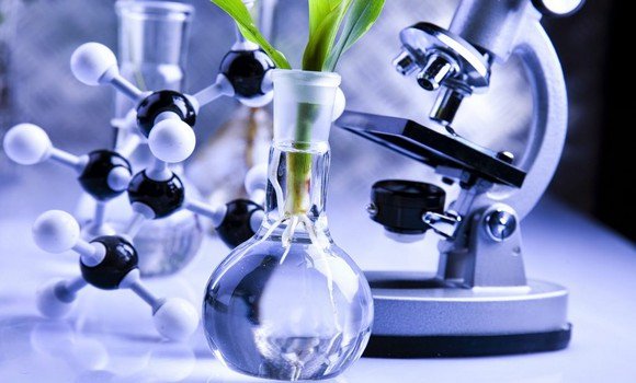 Constantine: les assises nationales sur les biotechnologies prévues en décembre