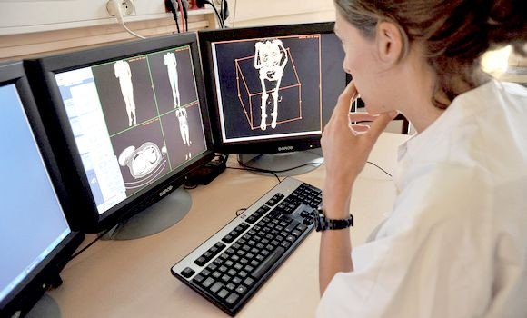 Imagerie médicale : les progrès technologiques enregistrés en Algérie exigent plus d’efforts en matière de formation