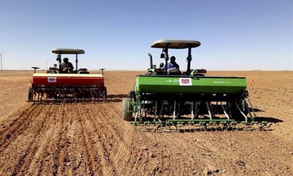 Adrar: extension des superficies céréalières et réalisation de nouveaux projets d’ensilage