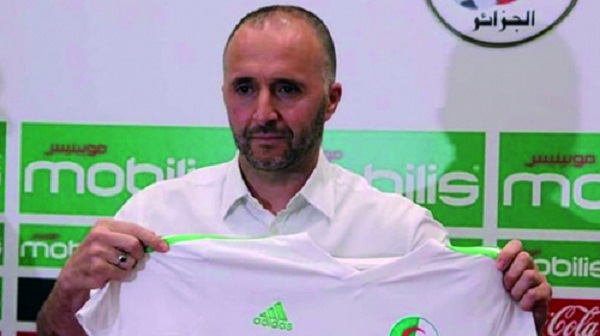 EN: Belmadi en conférence de presse ce dimanche