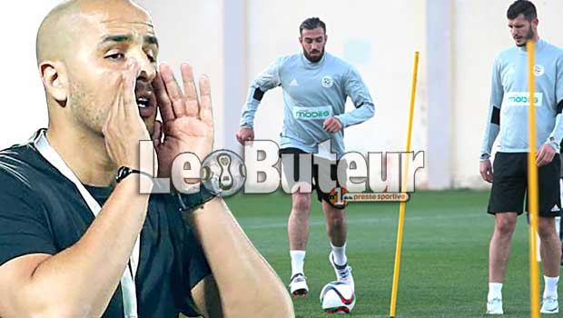 Il a tout conclu avec Belmadi et Zetchi: Bougherra intègre le staff technique des Verts