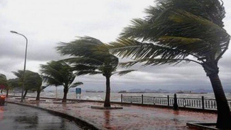 BMS: Des vents violents sur les wilayas côtières