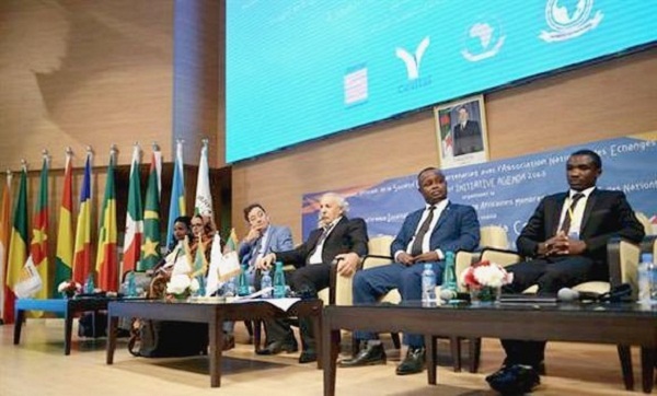 Conférence des ONG africaines de l&rsquo;Ecosoc : développer l&rsquo;Afrique et consacrer la coopération sud-sud