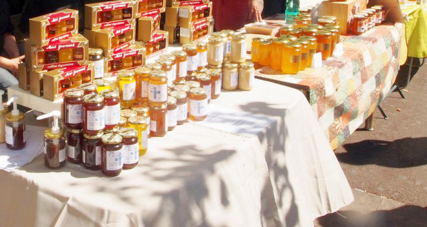 Le miel tient son salon