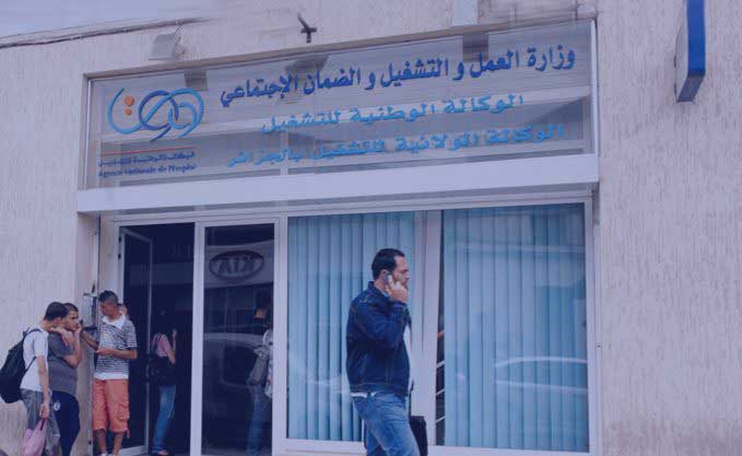 ANEM : 219 placements effectués dans le secteur agricole en 2018 à Aïn Defla