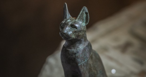 Avec chats et scarabées momifiés : L’Egypte dévoile sept tombes du temps des pharaons