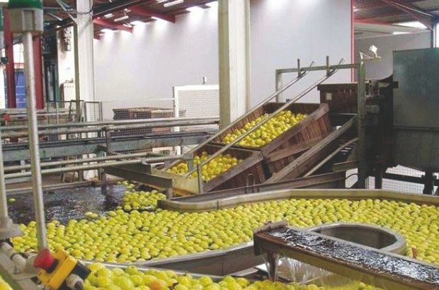 Secteurs agricole et agro-industriel : Des opérateurs italiens en Algérie du 25 au 29 novembre